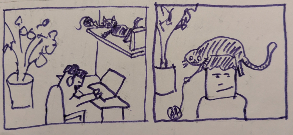 A boy sits at his desk on his laptop. A cat is playing with a ball of string above him and lands on his head.